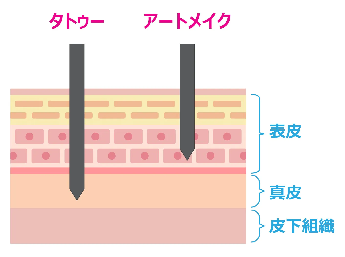 アートメイクとタトゥーの違い